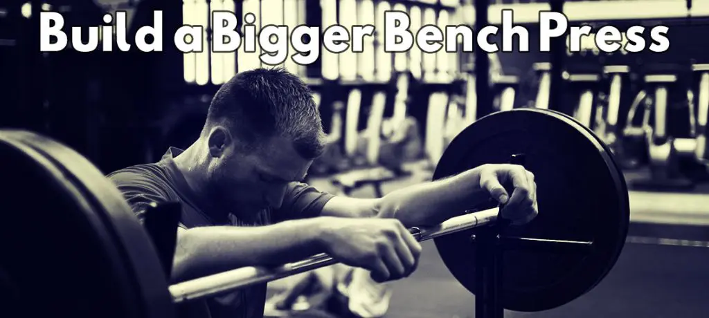 Build a Bigger Bench Press