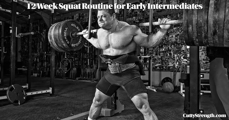 12 Week Early Intermediate Squat Routine