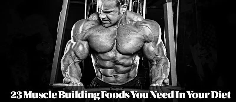 Strength and Muscle Building Foods