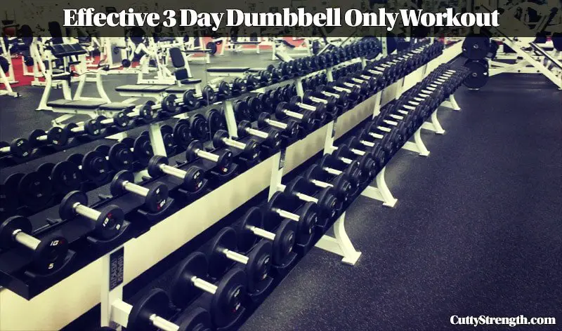 Effective 3 Day Dumbbell Only Workout