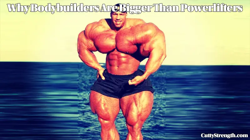 Why Bodybuilders Are Bigger Than Powerlifters