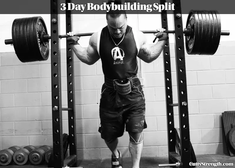 Bodybuilding Routine: 3 Day Split